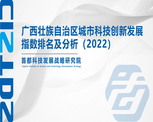 操逼网站免费的【成果发布】广西壮族自治区城市科技创新发展指数排名及分析（2022）